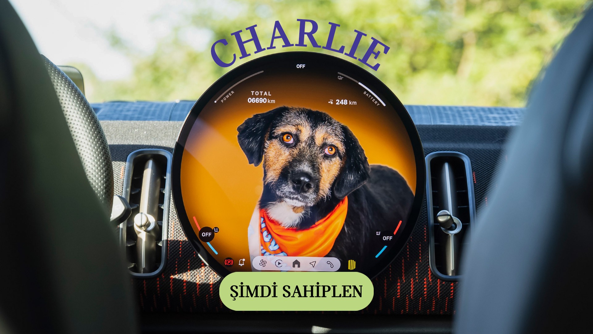 MINI Pati | MINI Türkiye